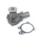 Us Motor Works NEW WATER PUMP US960 - alternate 1